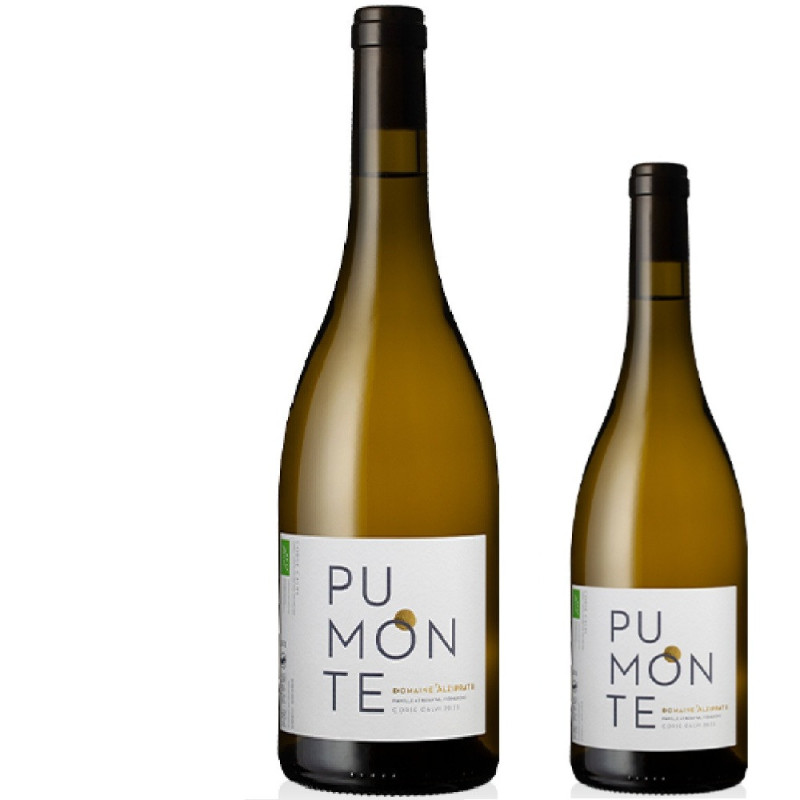 Magnum Alzipratu Pumonte Corse Calvi white wine 2024