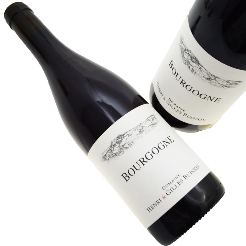Domaine Henri & Gilles Buisson Bourgogne Red 2024