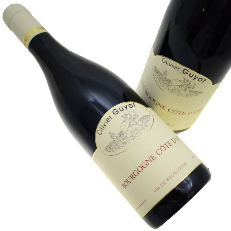 Domaine Olivier Guyot Bourgogne Côte d'Or 2023
