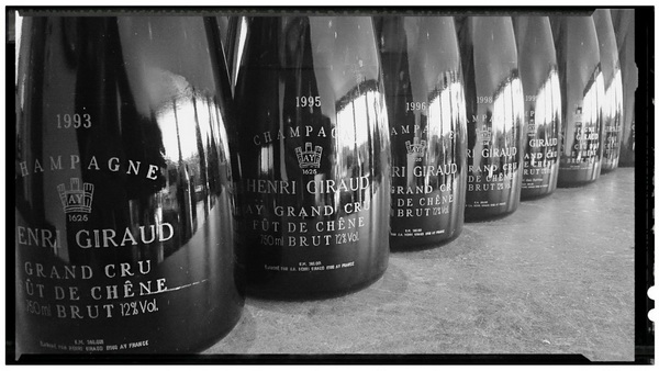 verticale-giraud-fut-de-chene-infinivin