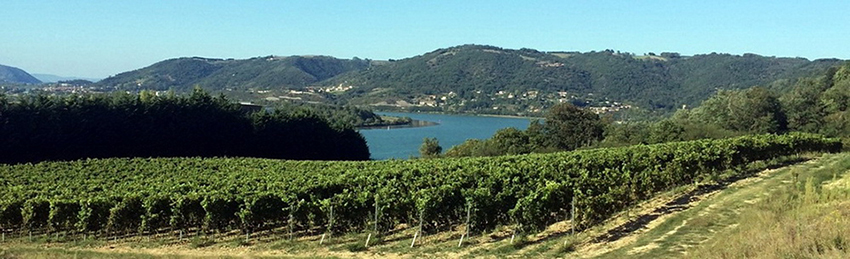Domaine Laurent Combier