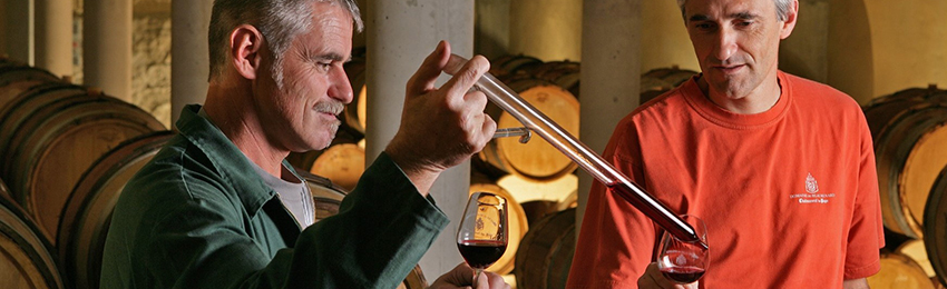 Domaine de Beaurenard