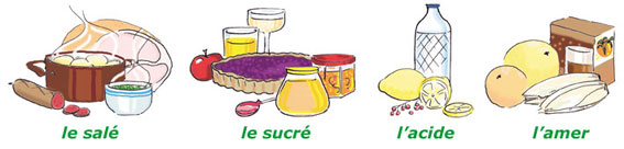 Les goûts