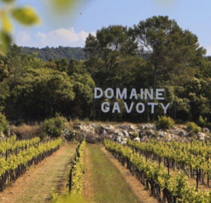 Dégustation au Domaine Gavoty