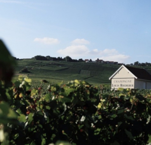 Visite de la Maison Roederer en Champagne !