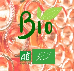 Mieux connaître les vins bio de Provence